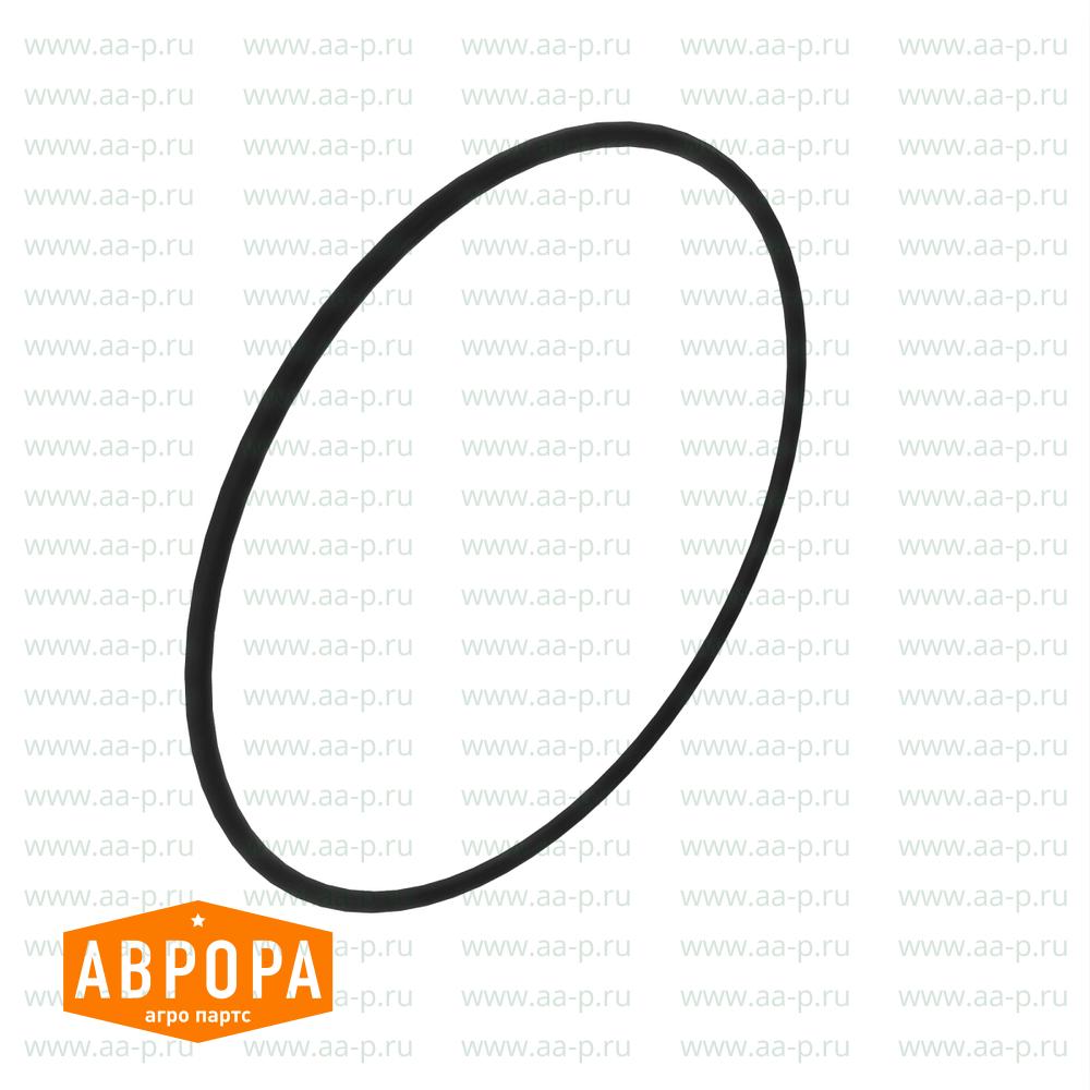 N203952 УПЛОТНИТЕЛЬНОЕ  КОЛЬЦО